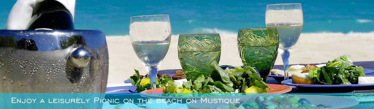 Enjoy a leisurely Picnic on the beach on Mustique